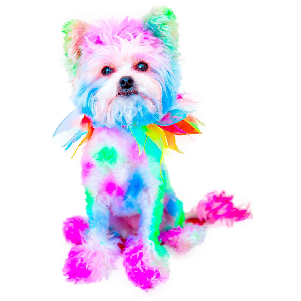 Semi Perm Coat Color Shampoo for Dogs Z677140