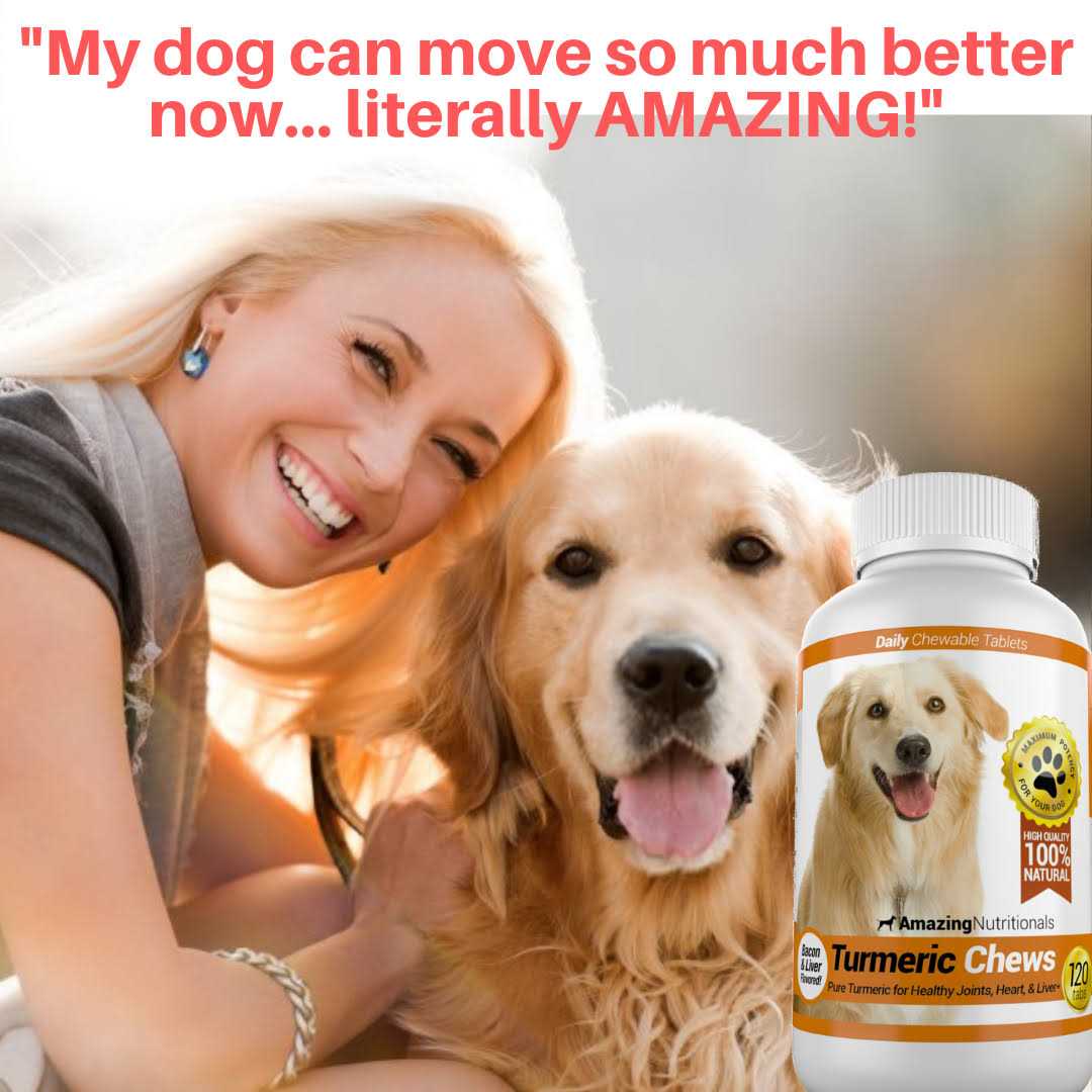 Turmeric Curcumin Pet Antioxidant V1685