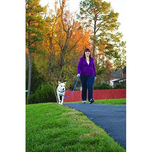 Easy Walk Dog Harness I251129