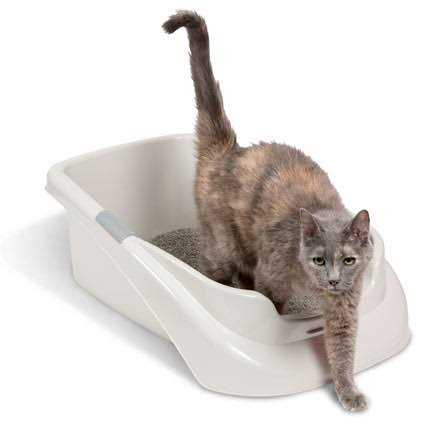 Litter Pan A644