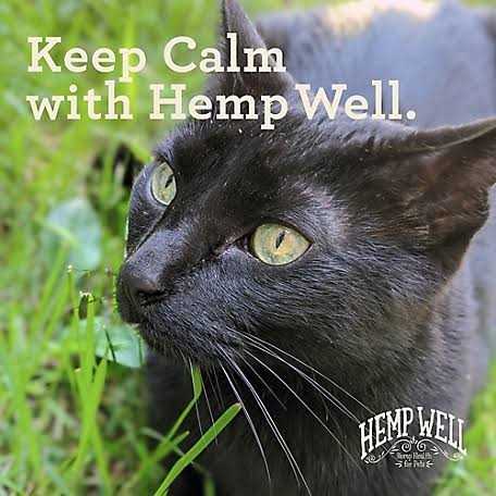 Calm Cat Pet Supplies W4904