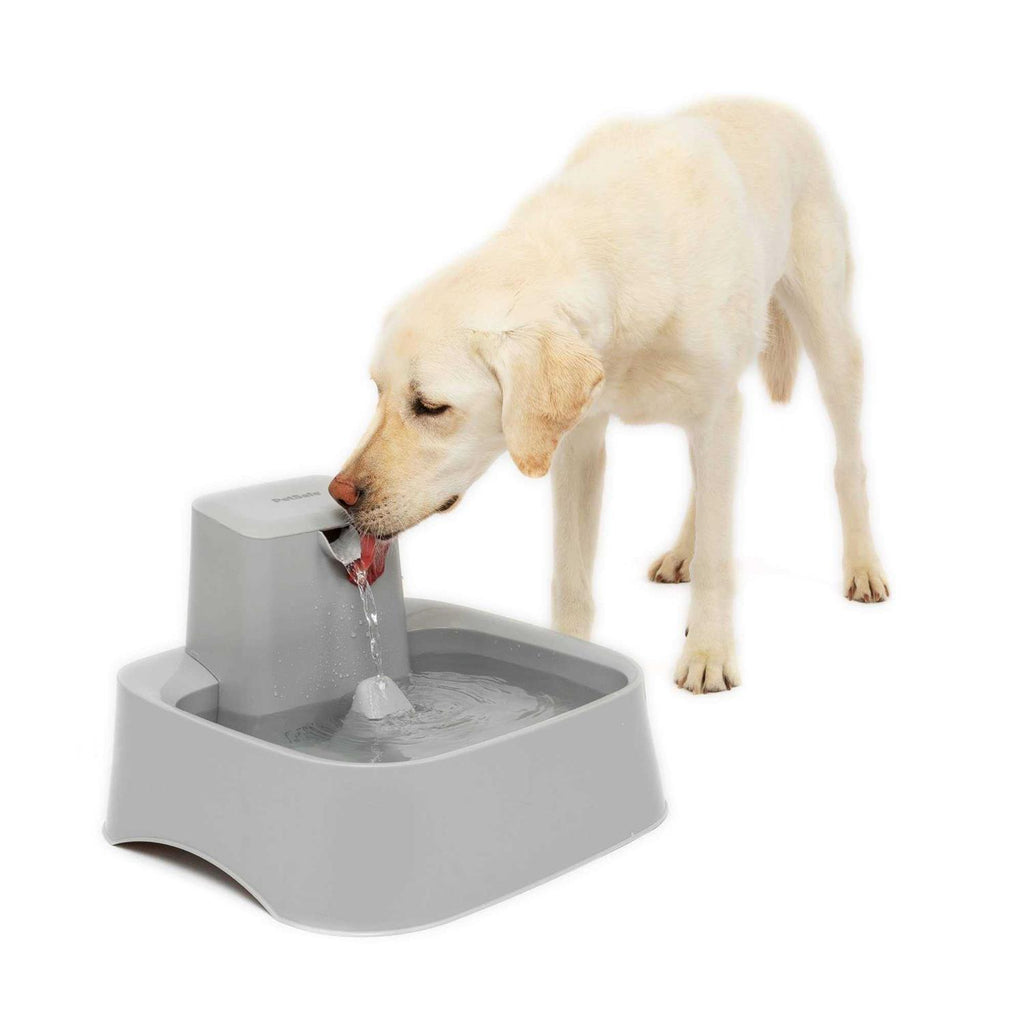 2 Gallon Pet Fountain G30065