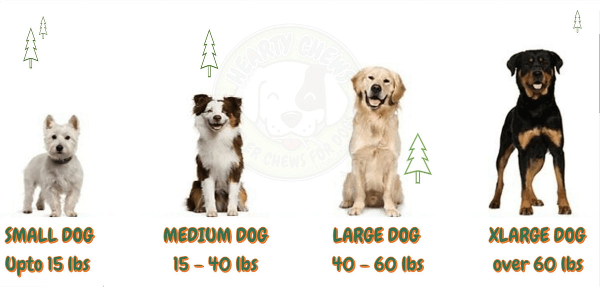 Natural Deer Antler Dog Bone 1 LB Bag F997236