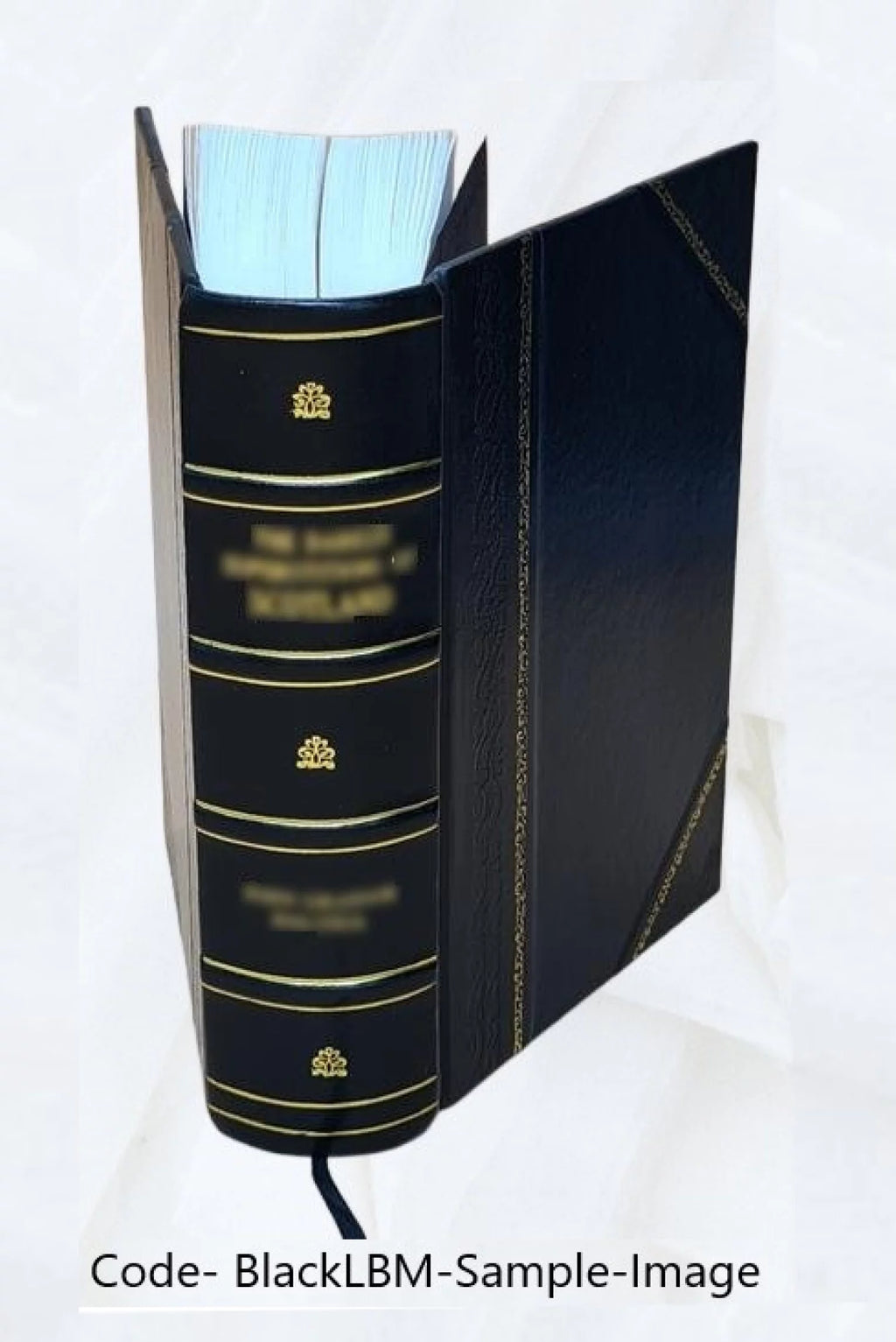 Cours de littérature ancienne et moderne K4713