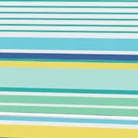 High Back Beach Chair with Canopy E122137