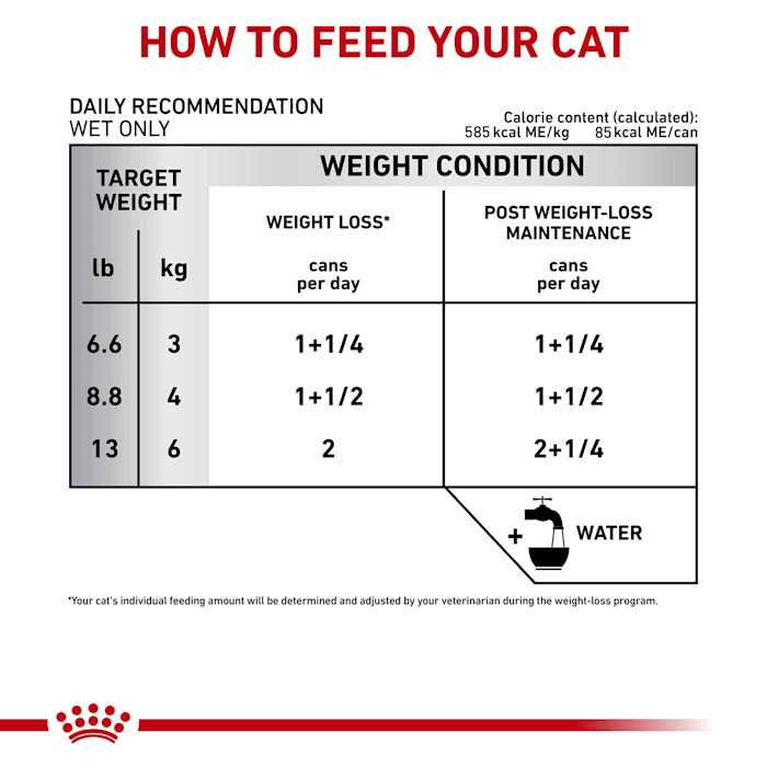 Adult Cat Loaf in Sauce Wet Food P26859