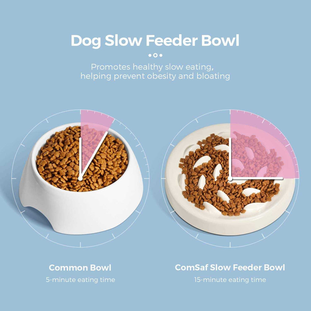 Slow Feeder Bowl for Cats and Small Dogs O86997
