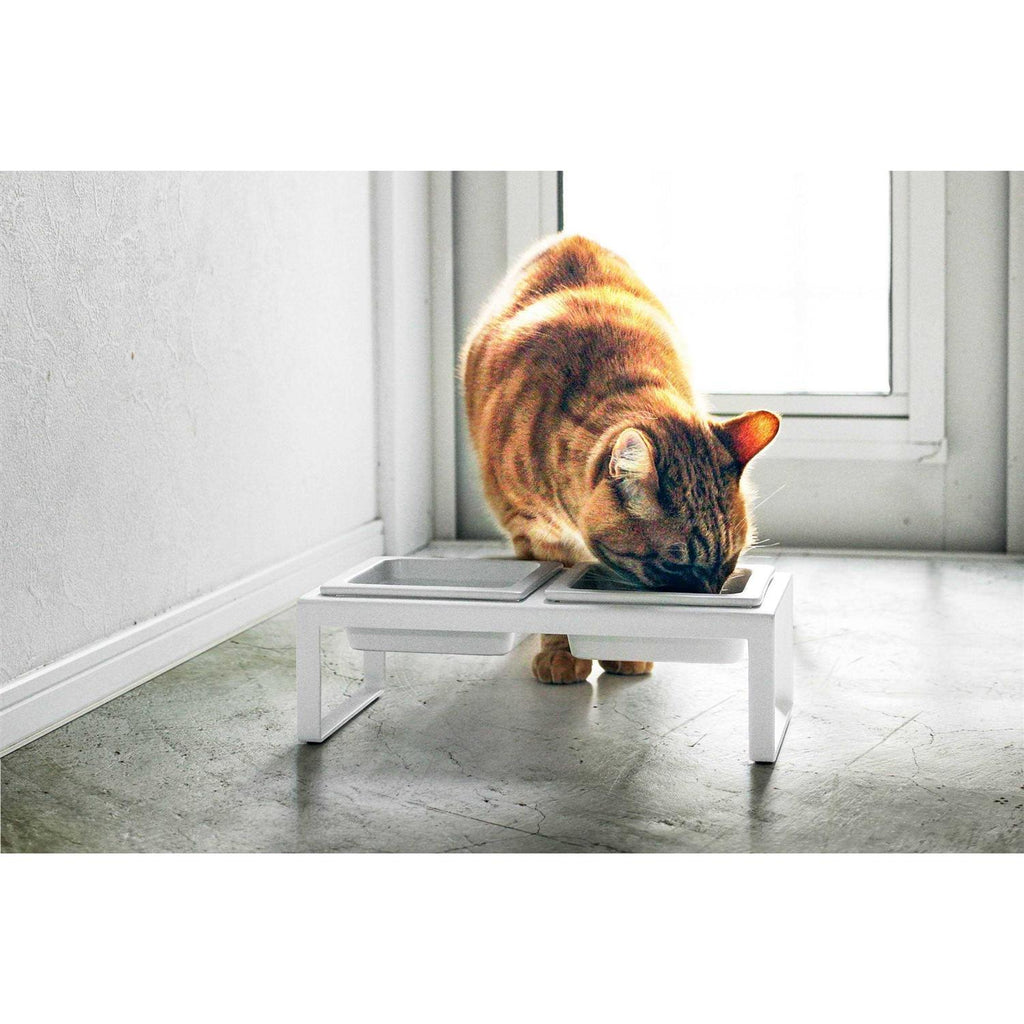Pet Food Bowl S41349