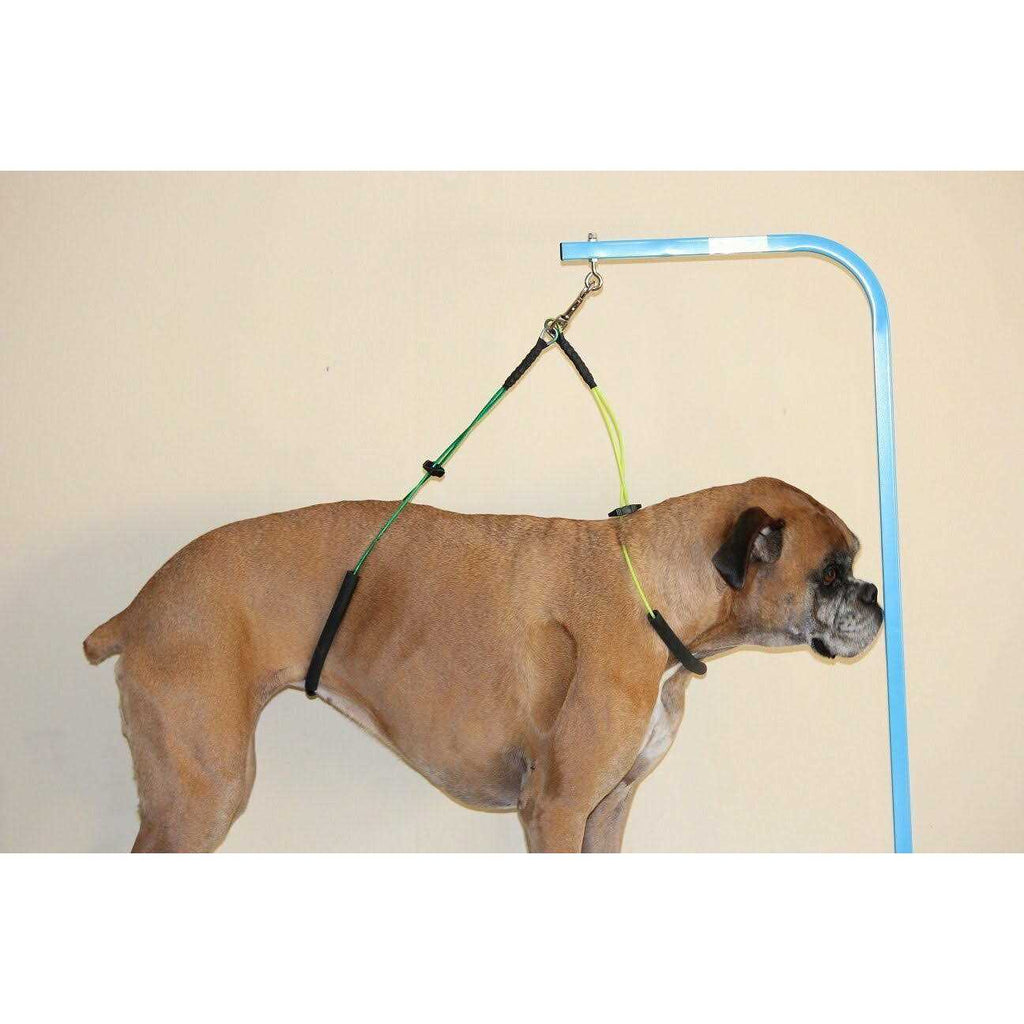 Dog Grooming Loop Restraint D92014