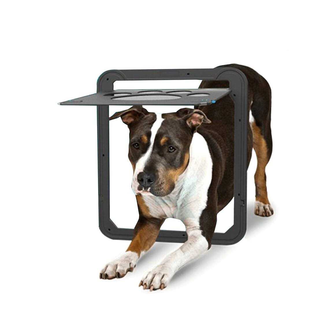Lockable Dog Screen Door 12x14x0.4 Inch O62580