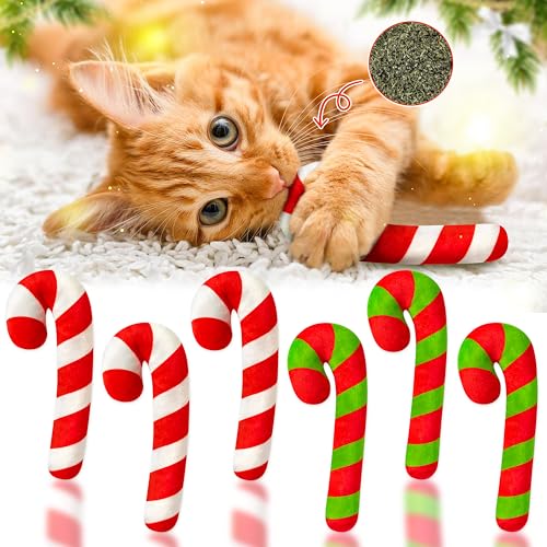 3Pcs Catnip Cat Toys G2161
