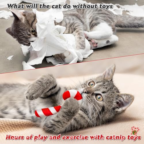 3Pcs Catnip Cat Toys G2161