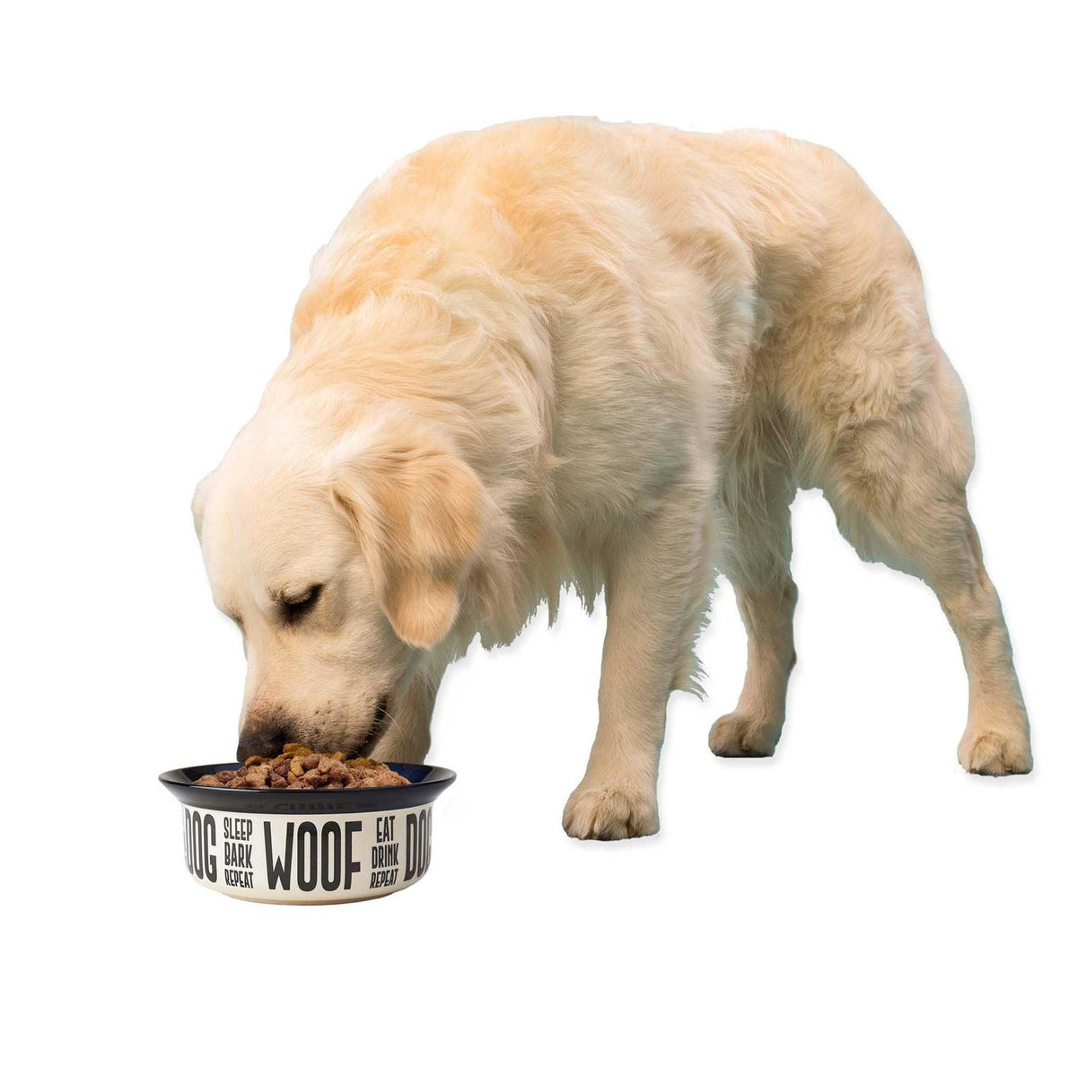 Stoneware Dog Bowl W31868