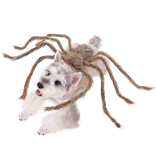 Halloween Spider Costume for Dog Cat, Black, 8 Legs, Medium N529481
