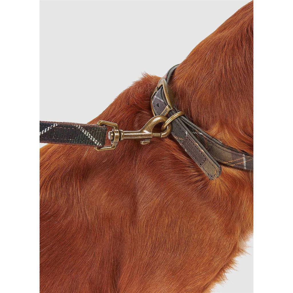Tartan Webbing Collar C7113