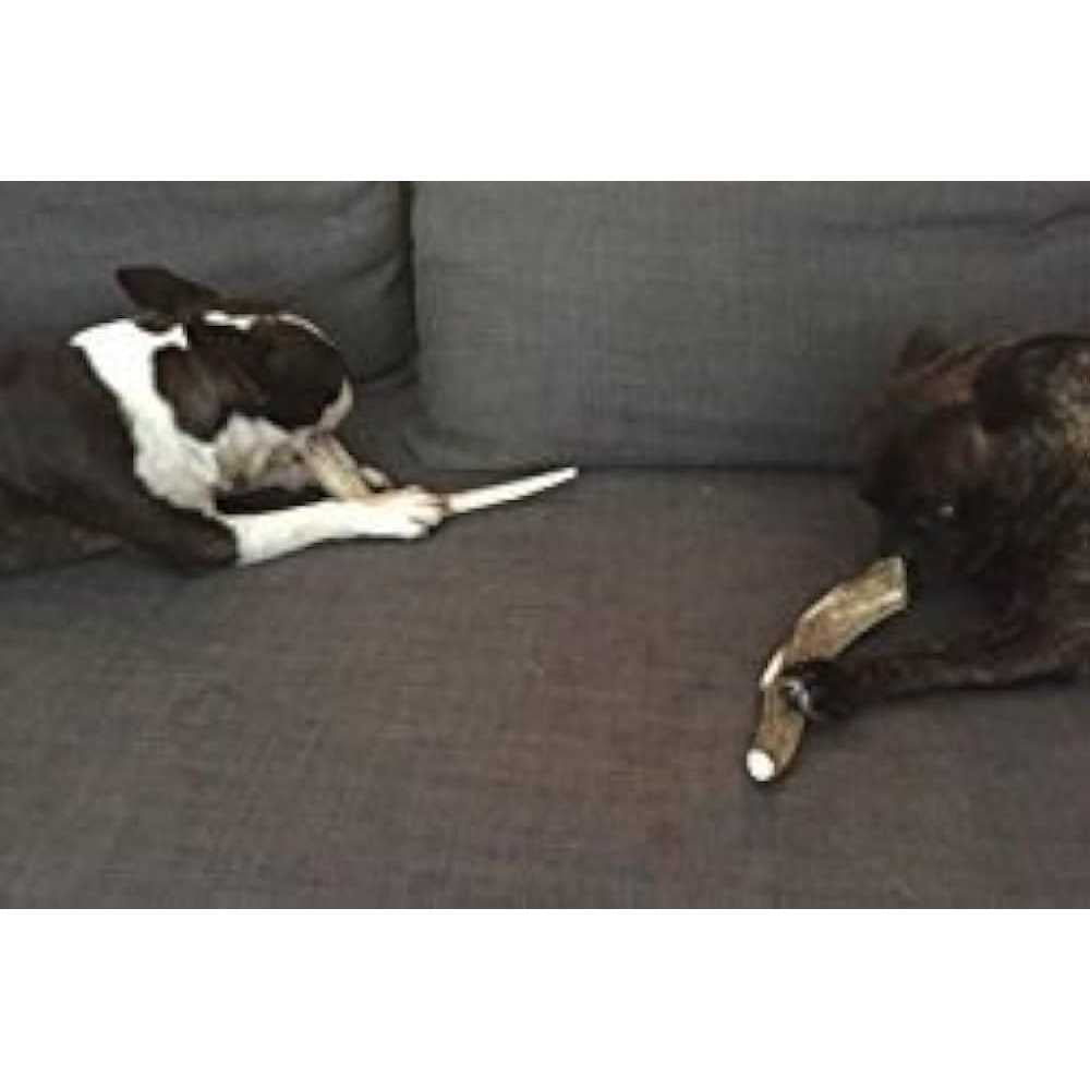 Deer Antler Dog Chews S7918