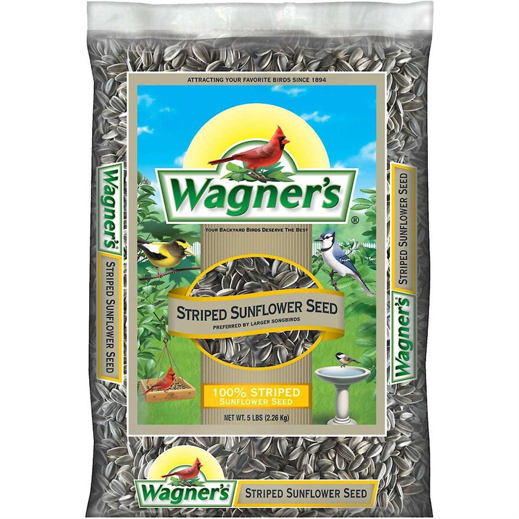 5 Lb Striped Sunflower Seed L55418
