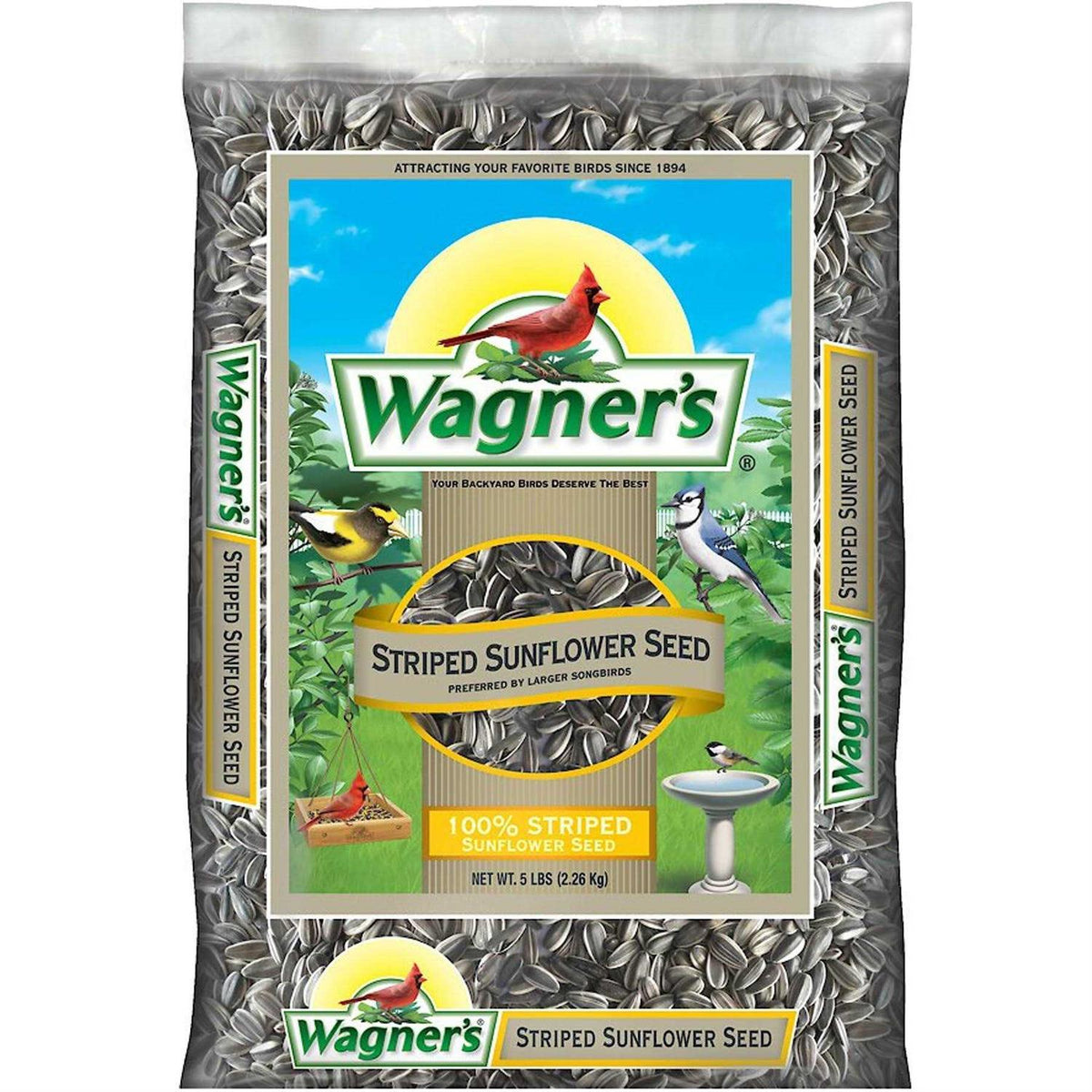 5 Lb Striped Sunflower Seed L55418