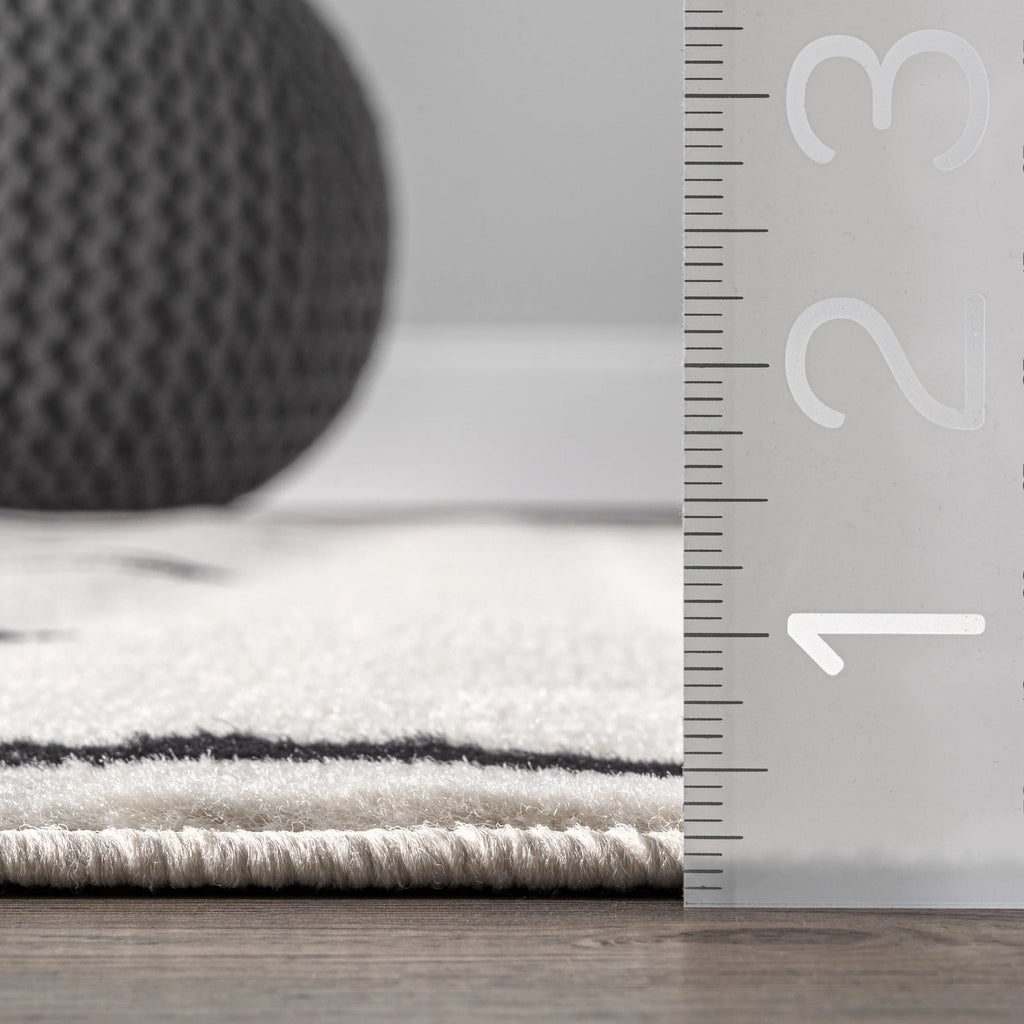 Black Area Rug V4049