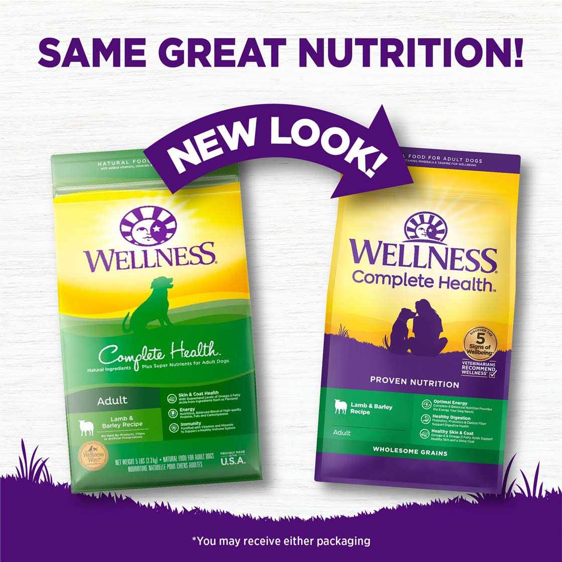 Lamb & Barley Dry Dog Food T46529