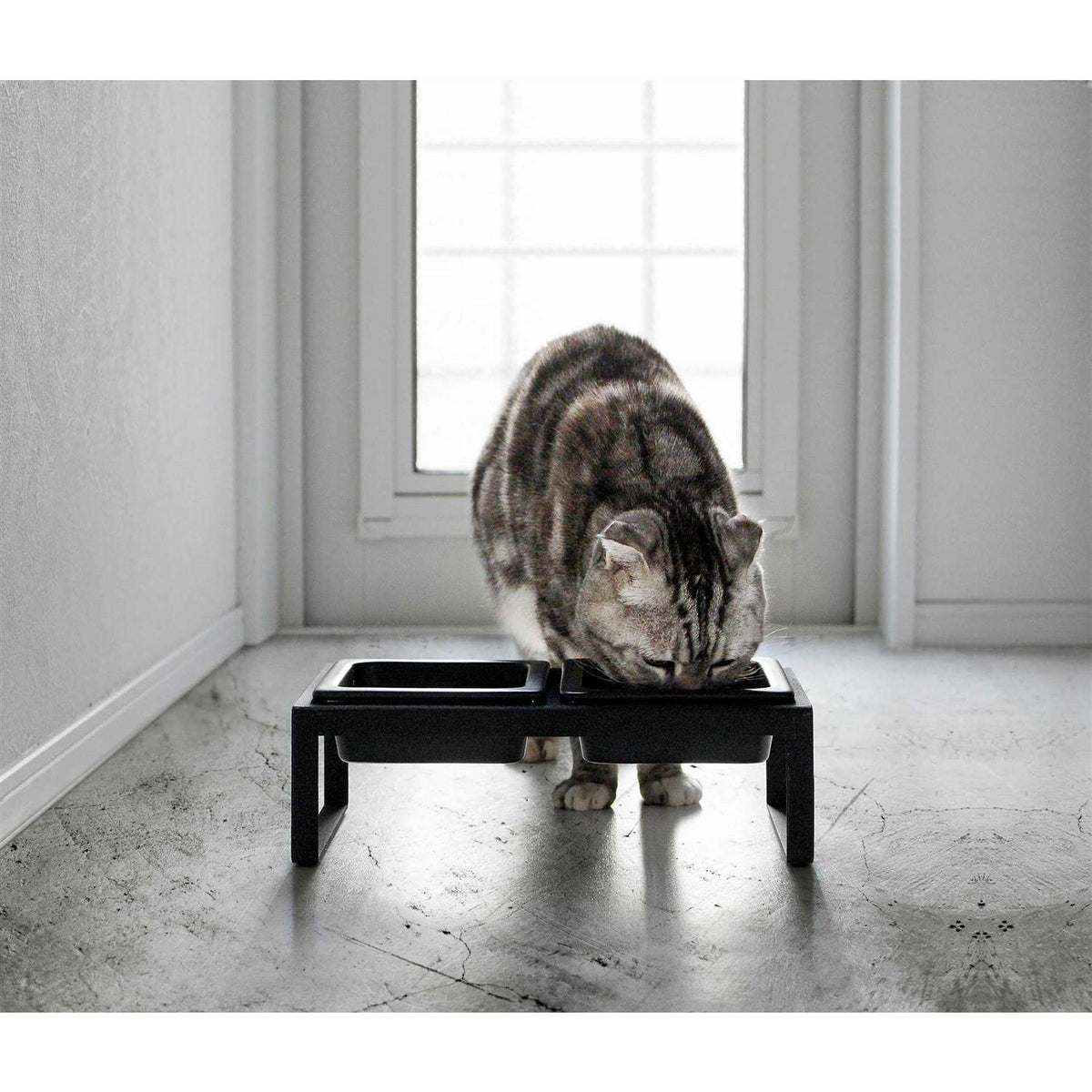 Pet Food Bowl S41349