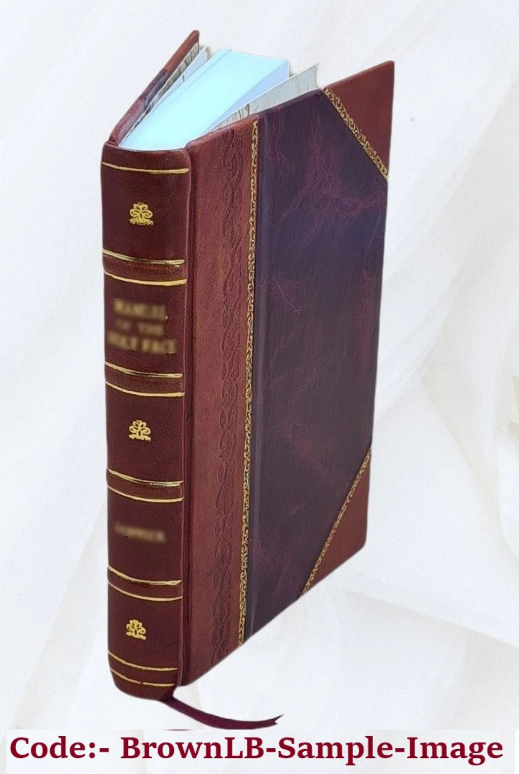 Leather Bound Book V639885