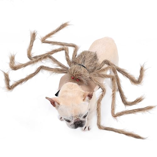 Halloween Spider Costume for Dog Cat, Black, 8 Legs, Medium N529481