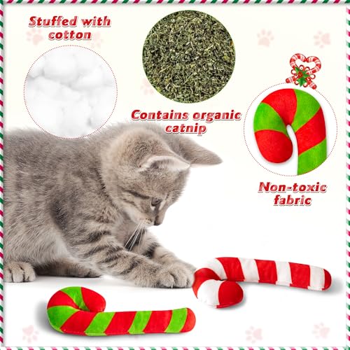 3Pcs Catnip Cat Toys G2161