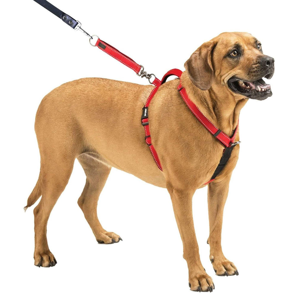 Ultimate Control Harness C208