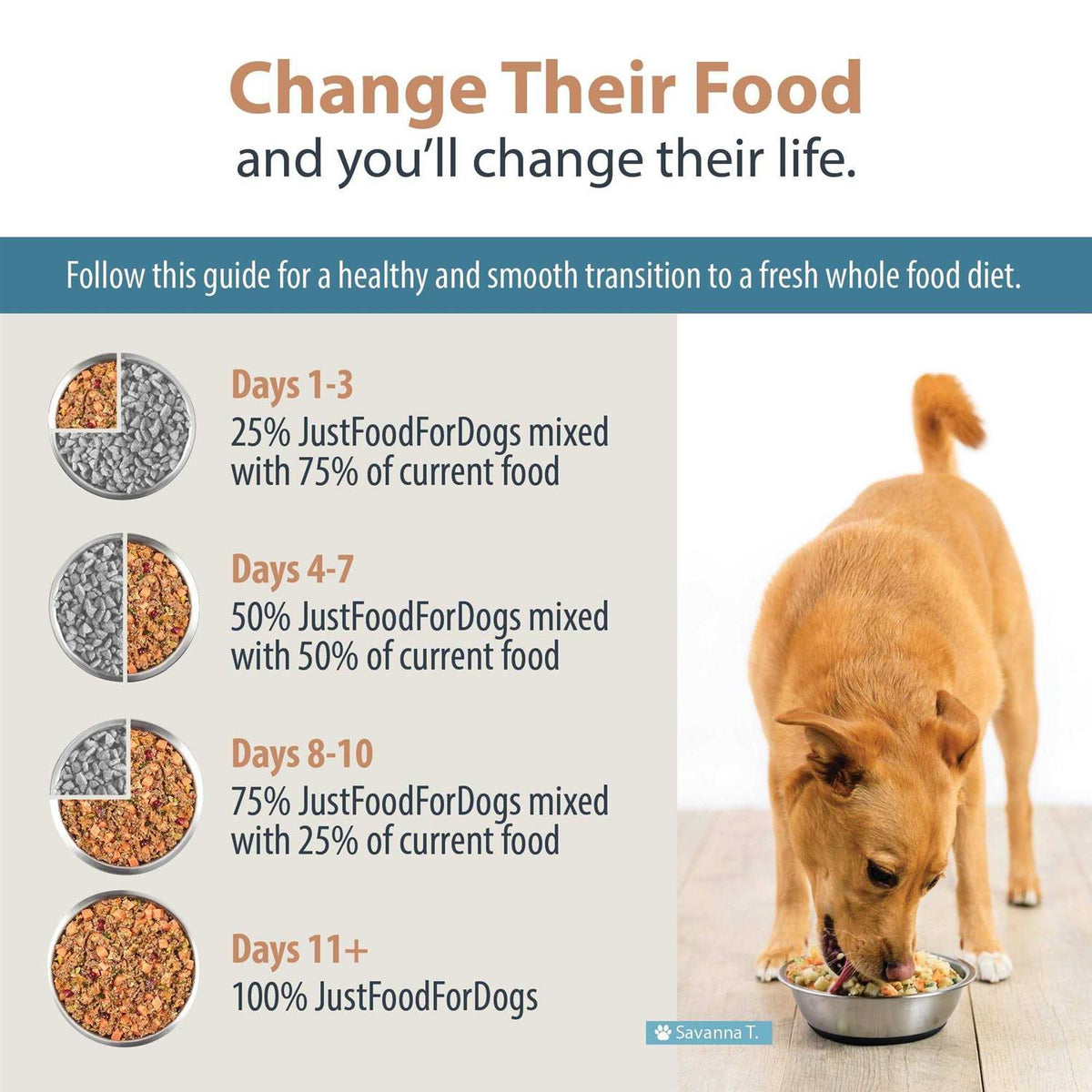 Frozen Fresh Dog Food H348107
