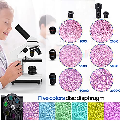 100X-2000X Compound Microscope with Slides W588