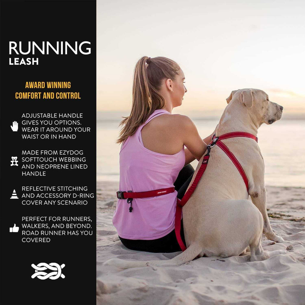 Road Runner Leash F4593