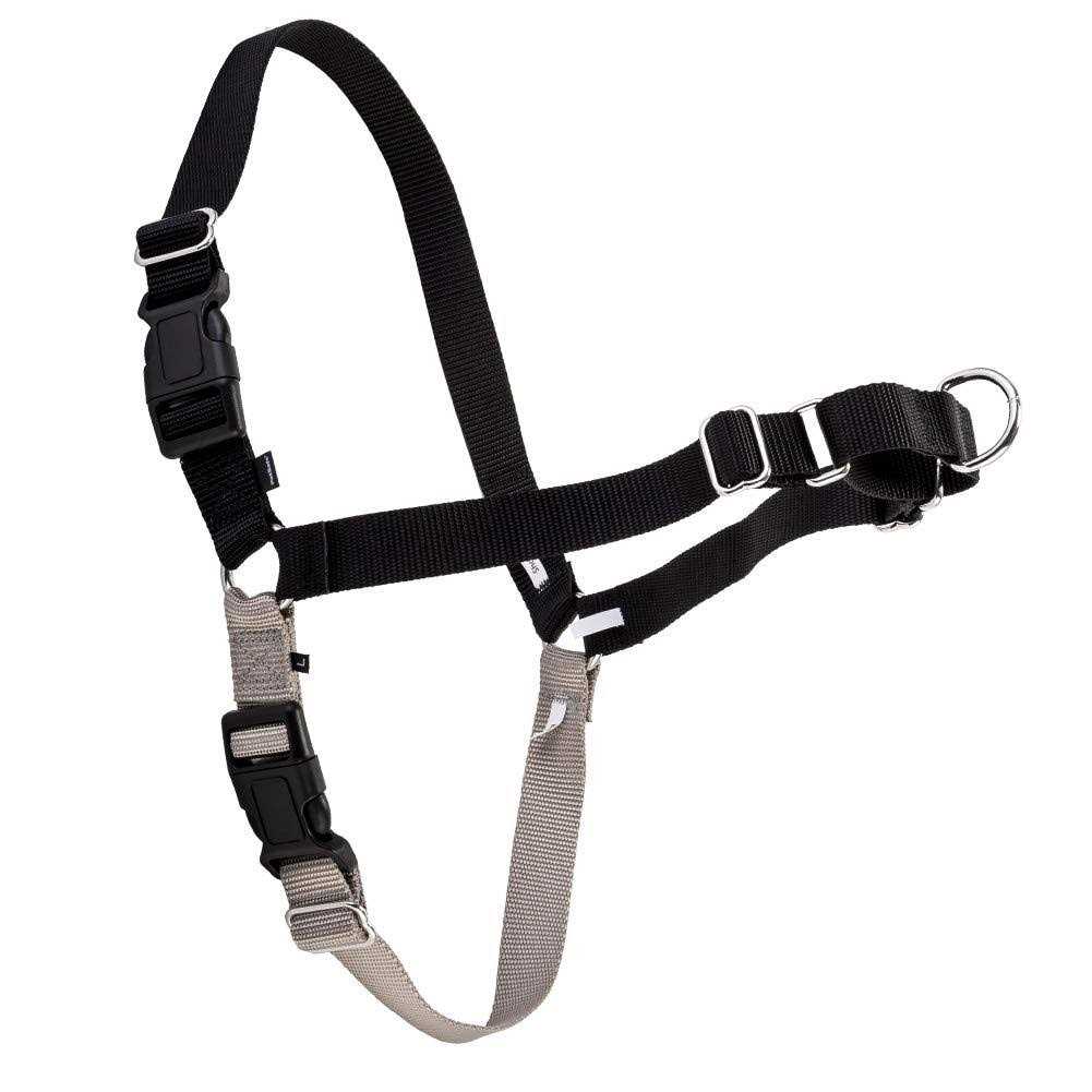Easy Walk Dog Harness I251129