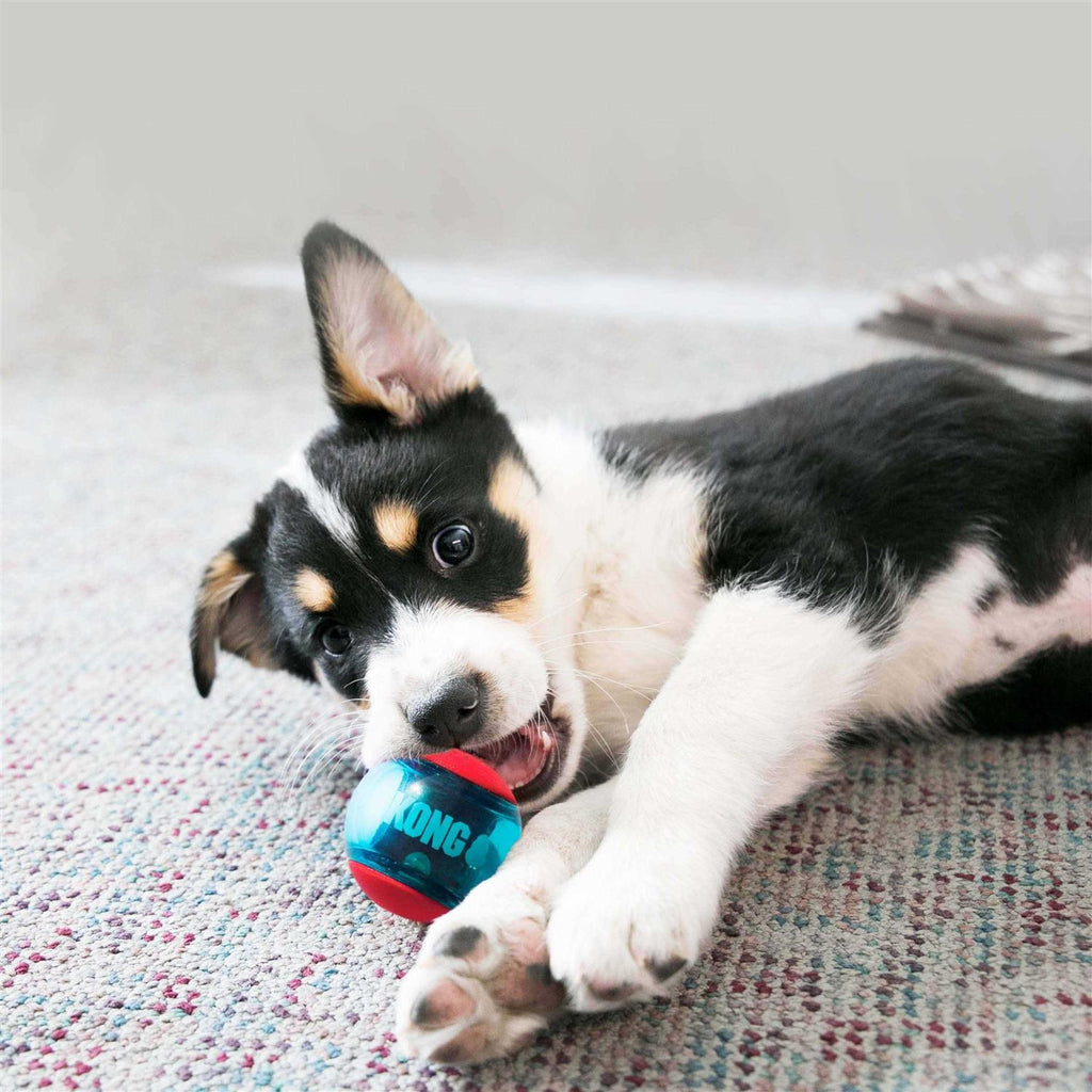 Dog Toy H934