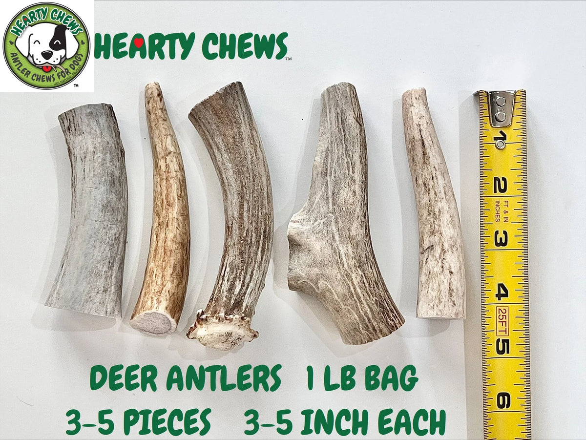 Natural Deer Antler Dog Bone 1 LB Bag F997236