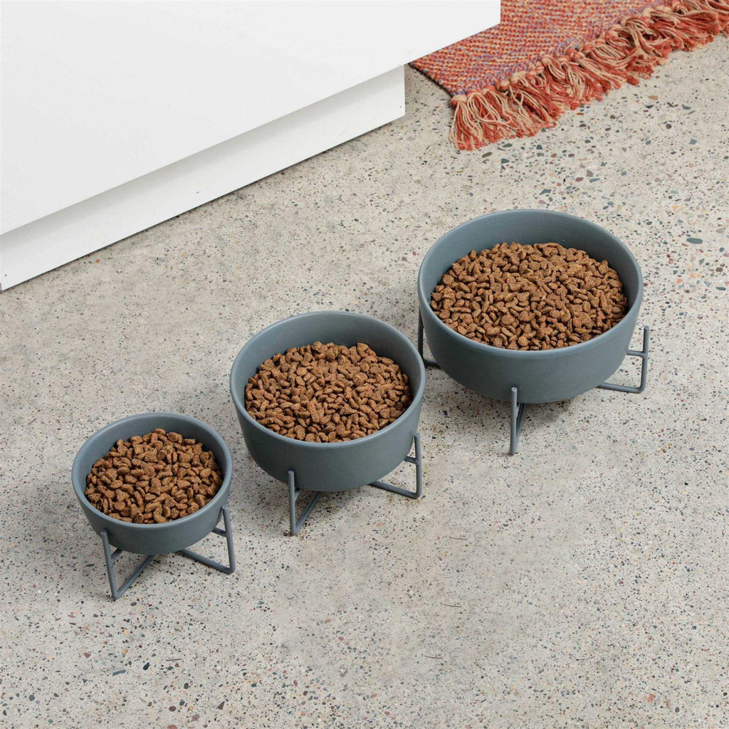 Solid Bowl + Dog Bowl Stand T72907