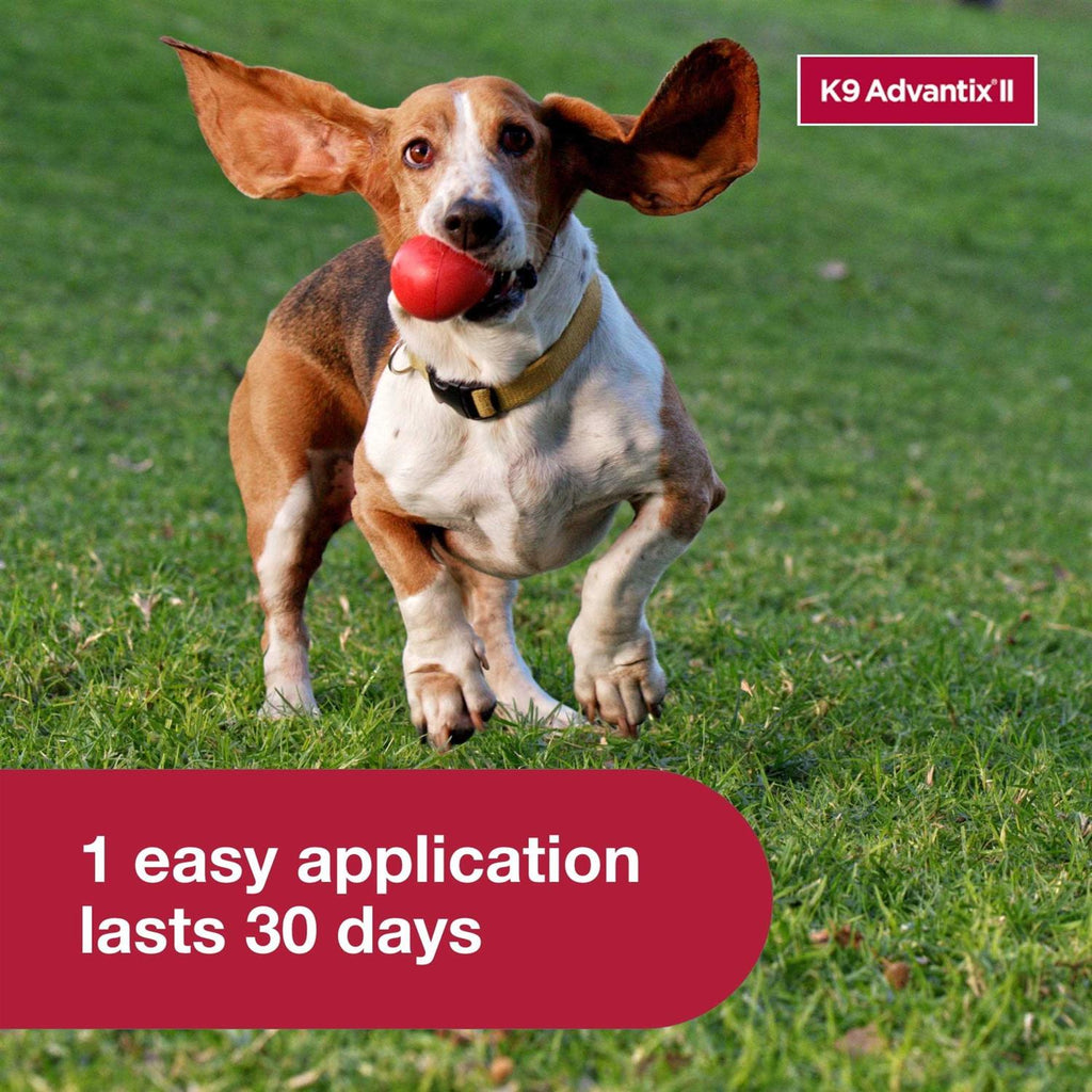 Flea Tick & Mosquito Prevention for Small Dogs 4-10 lbs Y808886