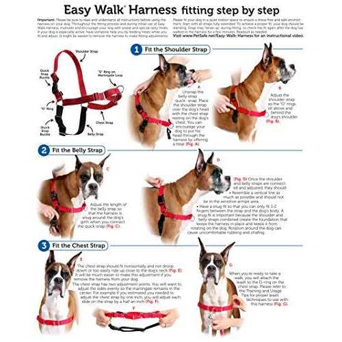 Easy Walk Dog Harness I251129