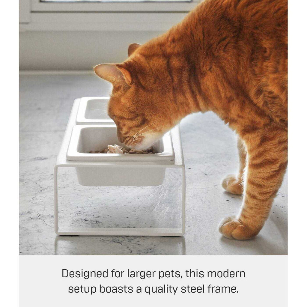 Pet Food Bowl S41349