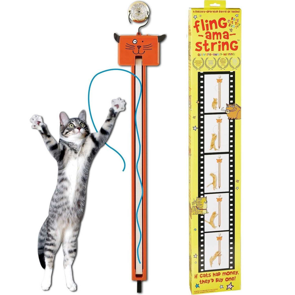 Cat Toy R974