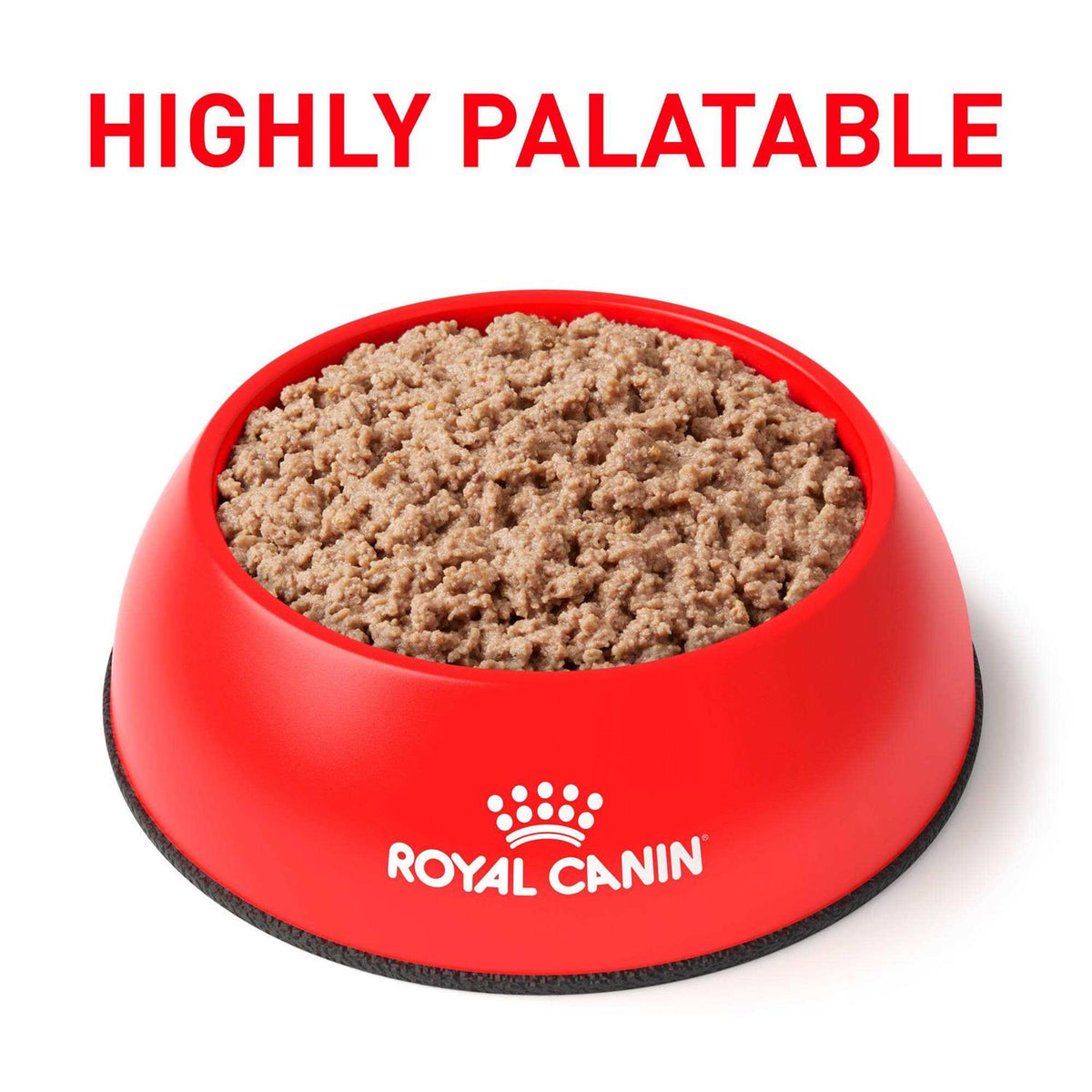 Adult Cat Loaf in Sauce Wet Food P26859