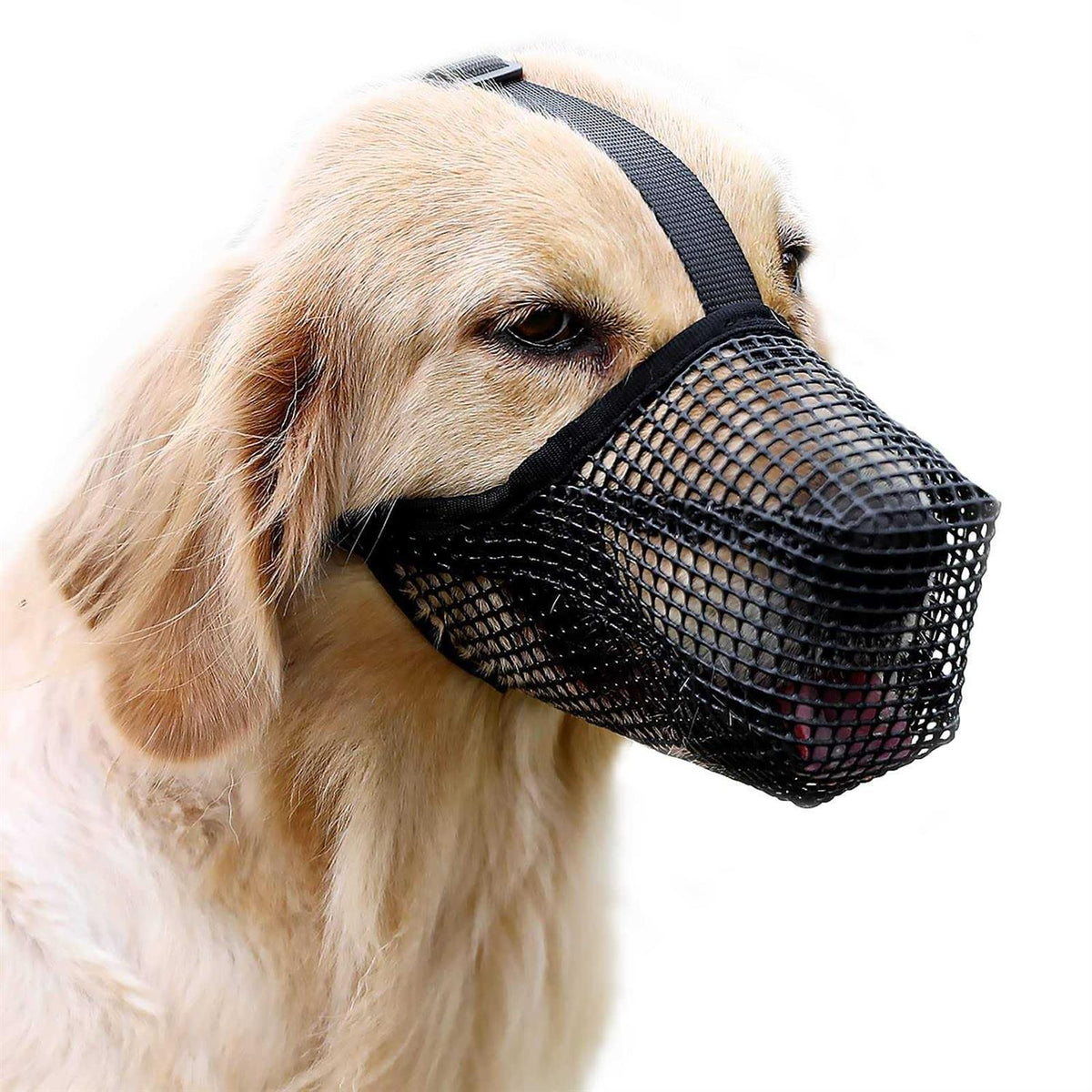 Soft Mesh Dog Muzzle with Adjustable Strap I99877