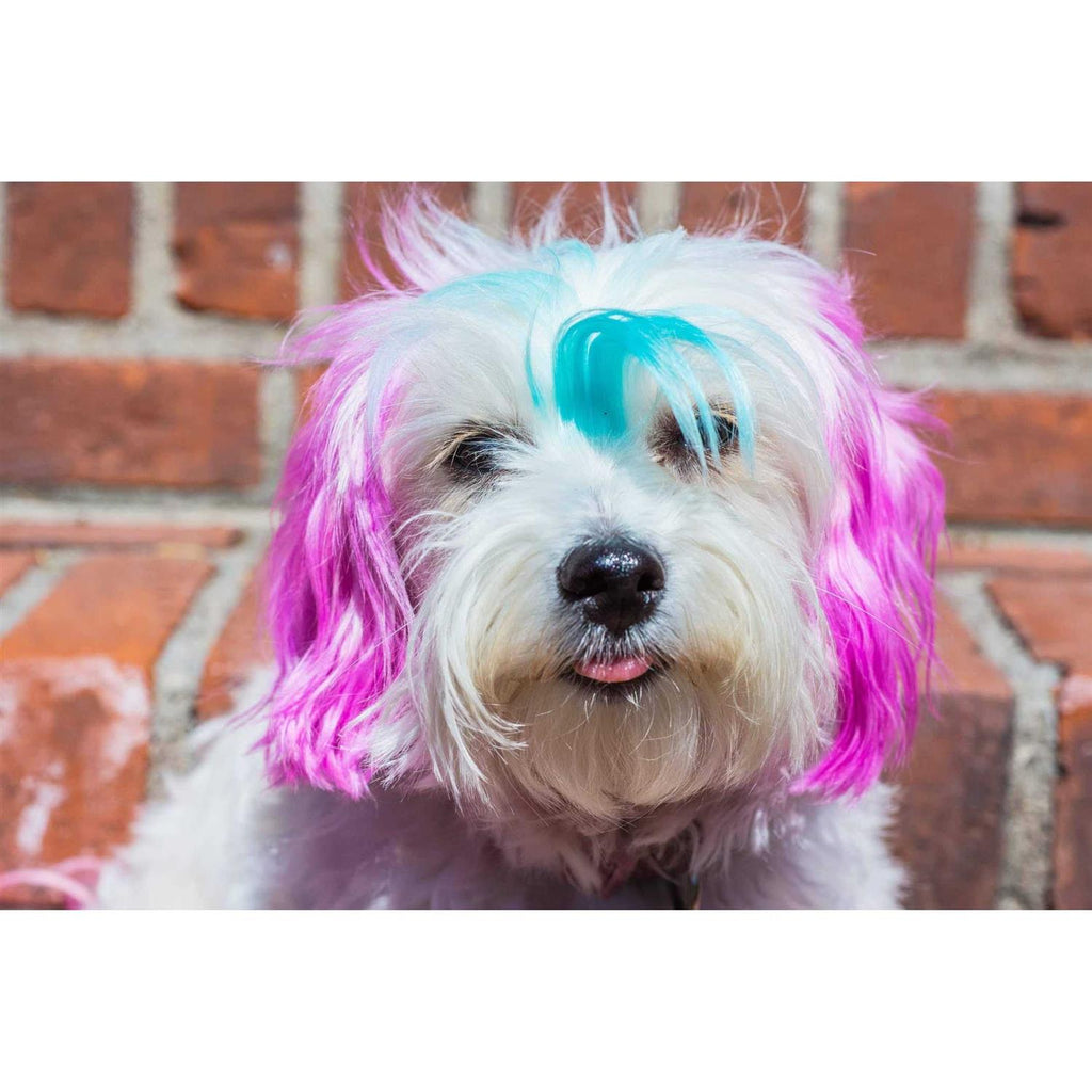 Semi Perm Coat Color Shampoo for Dogs Z677140