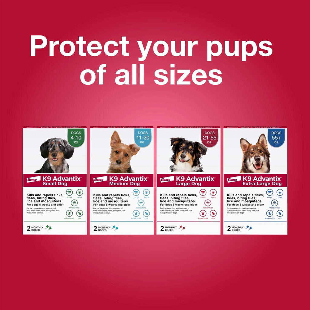 Flea Tick & Mosquito Prevention for Small Dogs 4-10 lbs Y808886