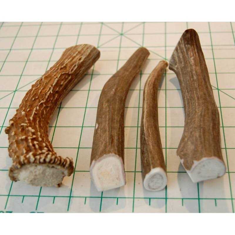 Deer Antler Dog Chews S7918