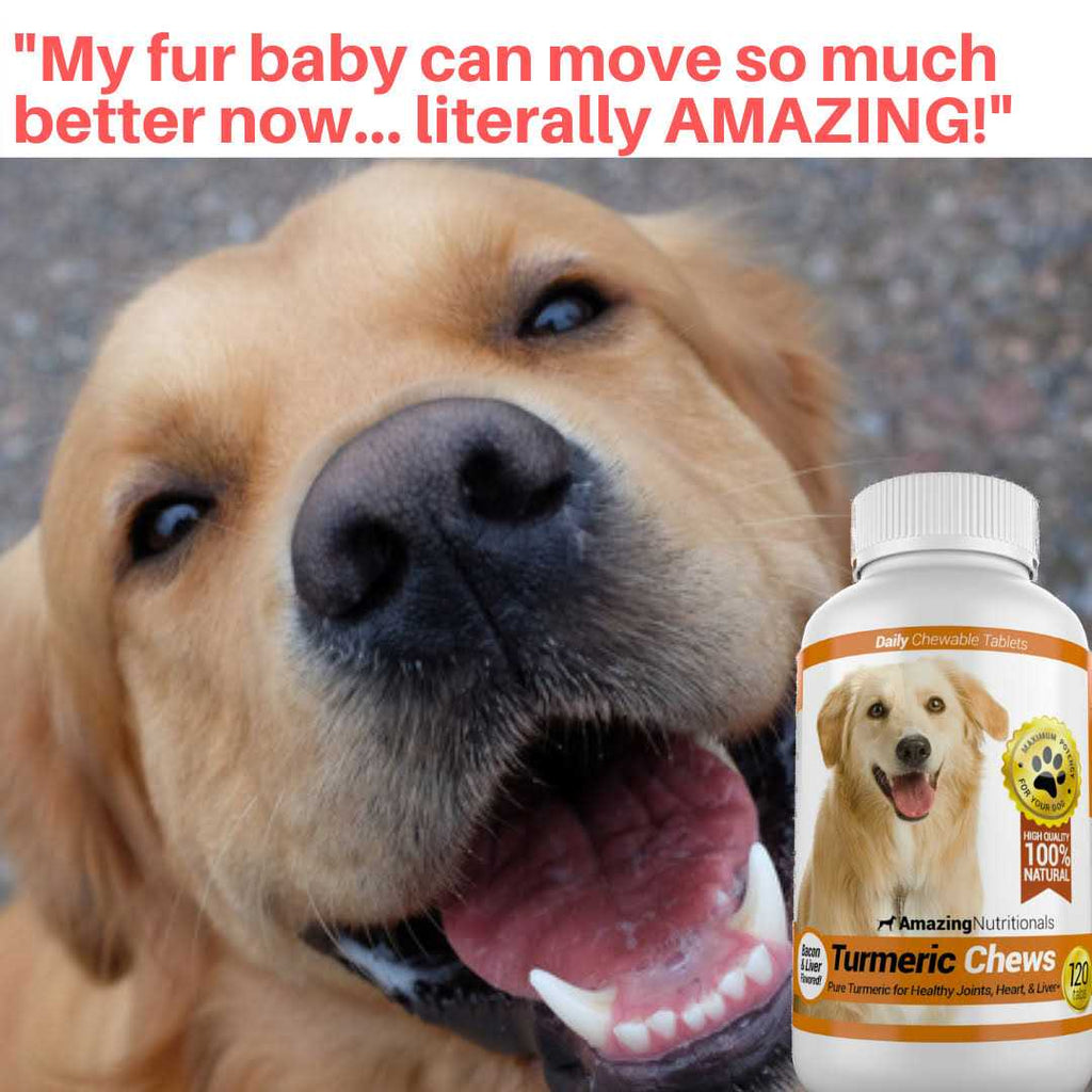 Turmeric Curcumin Pet Antioxidant V1685