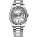 Silver Diamond Scale 41mm Watch E954