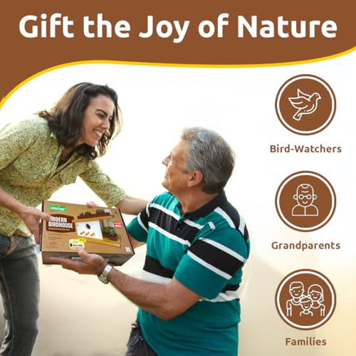 Woodworking Kit DIY Birdhouse T404