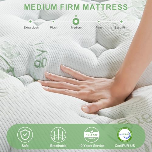 12 Inch Full Size Memory Foam Hybrid Mattress O5833