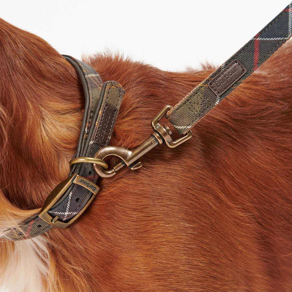 Tartan Webbing Collar C7113